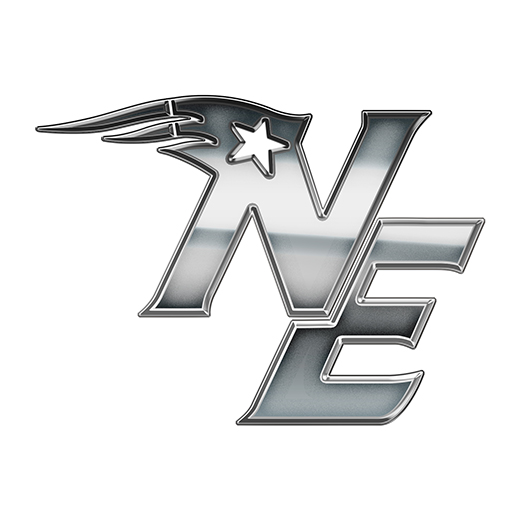 New England Patriots Silver Logo vinyl decal